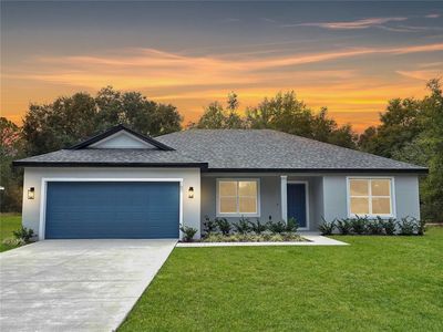 160 Guava Ter, Ocklawaha, FL, 32179
