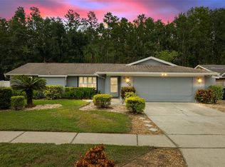 5330 Black Pine Dr, Tampa, FL 33624