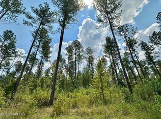 4 Dry Grove Rd, Terry, MS 39170