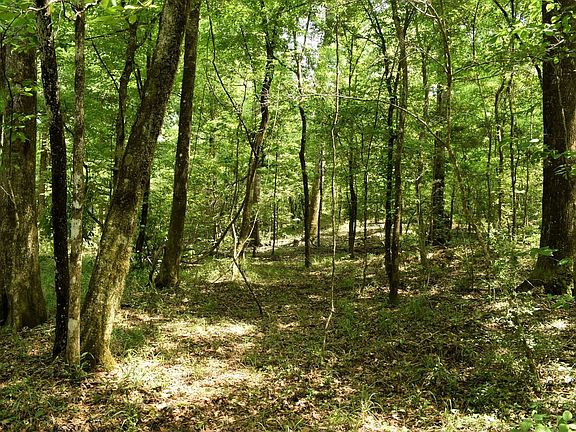 3rd image of Hepzibah Rd