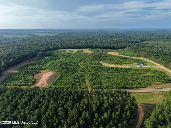 PARCEL 6 Firehouse Rd Lot 6, Liberty, MS 39645