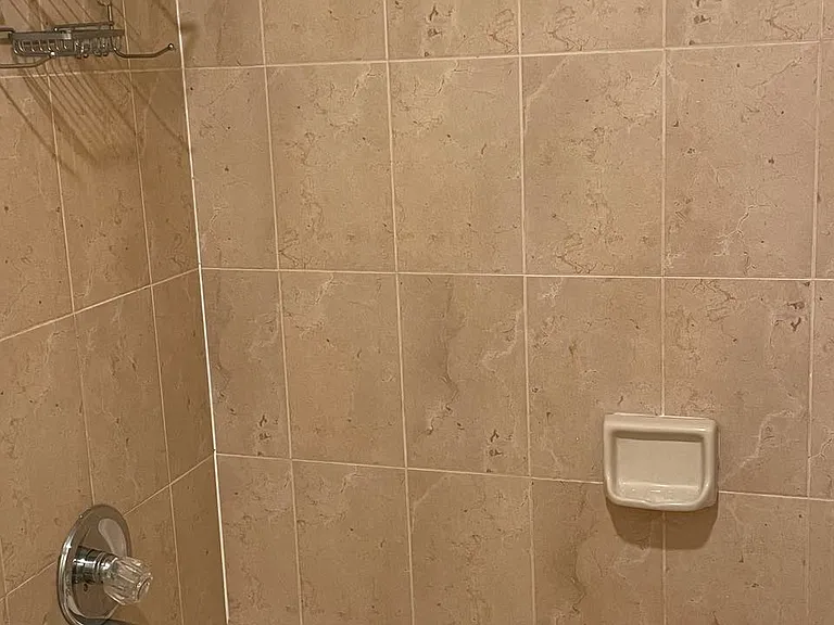 Tub and shower in 2nd bath