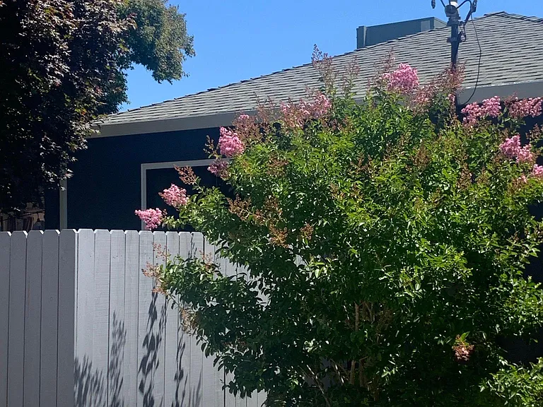 Pine St — Photo 35