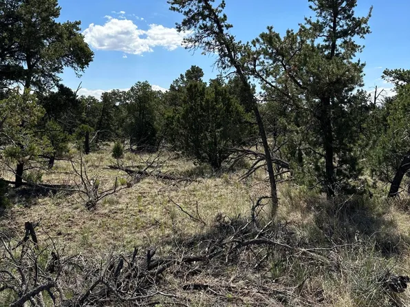 Unk Wilderness Ln, Datil, NM 87821