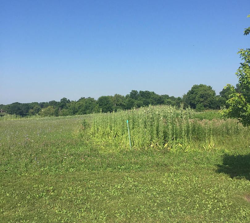 2nd image of 26432 Pennway Cir Lot 9