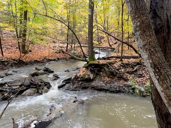 4th image of 4765 Seneca Point Rd