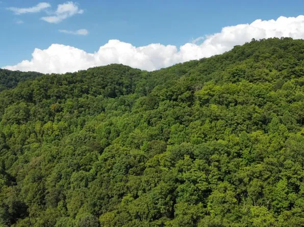 Nanny Branch Rd, Grundy, VA 24614