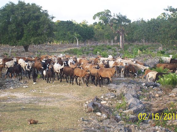 5th image of Over 3 Billion Dollars Worth Of Land On Sale #2000 Acres