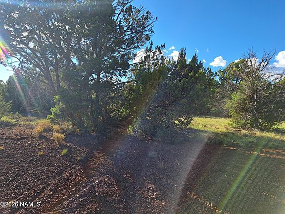 2nd image of 1499 E Barbara Rd