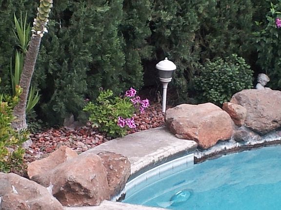 5th image of 1911 Black Rose Ln