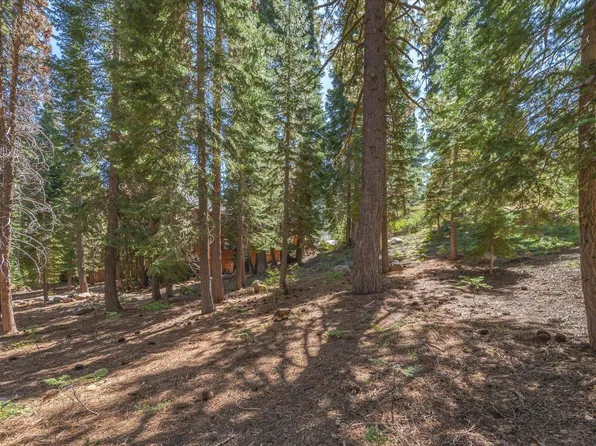 14590 Copenhagen Dr, Truckee, CA 96161
