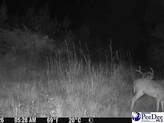 4th image of 0 Bay Catfish Rd