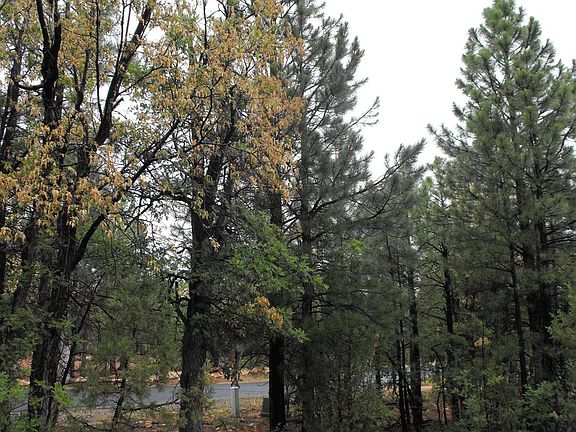 2nd image of 1547 Pine Canyon Dr
