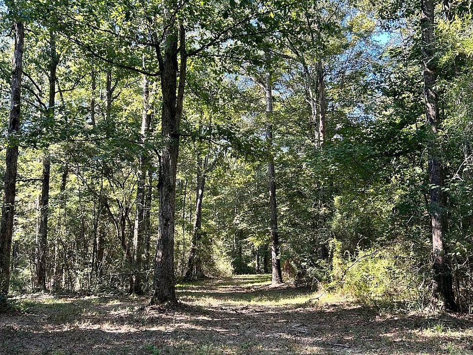 1st image of Dickey Mills Rd