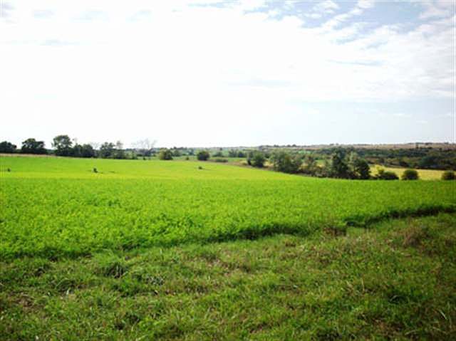 2nd image of L2 Ringhand Rd