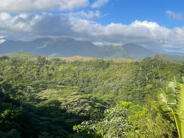 5250D Kahiliholo Rd #D, Kilauea, HI 96754