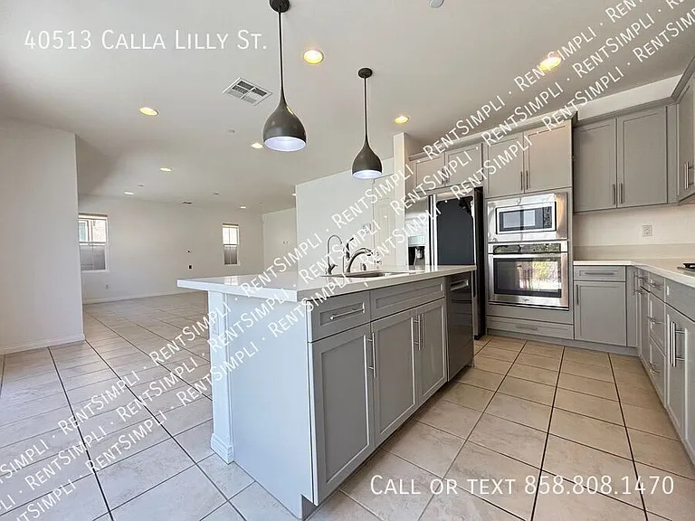 40513 Calla Lilly St — Photo 8