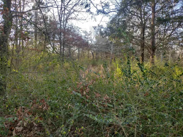 0 Storey St, Mountain View, AR 72560