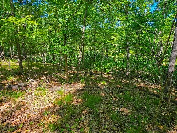 5th image of 1190 Spring Creek Dr