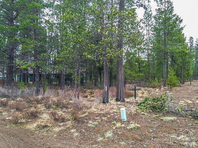 2nd image of 55920 Black Duck Rd