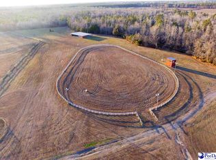 3603 Union School Rd, Coward, SC 29530