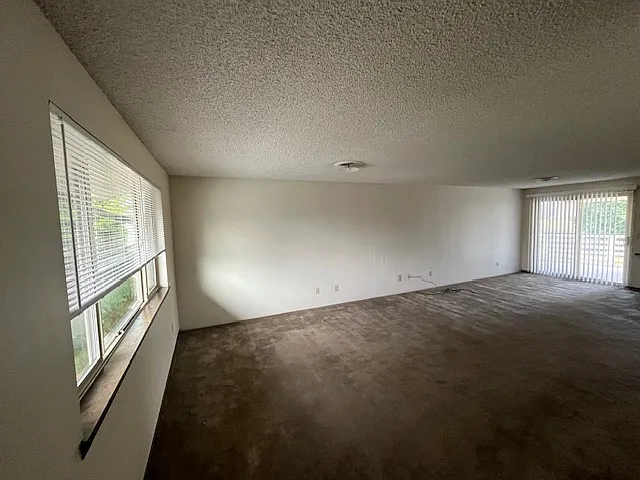 Living Room - 10925 Peter Anderson Rd #3