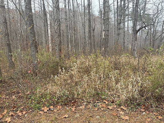 4th image of 0 Rushing Water Trl Lot 4-5