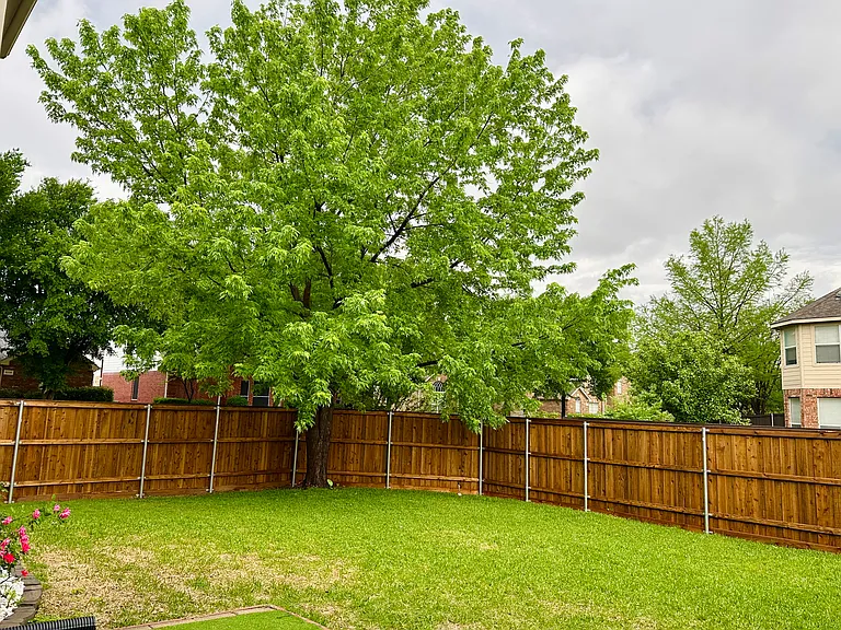 3633 Dripping Springs Dr — Photo 15