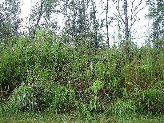 1st image of Leilani Dr Lot 54