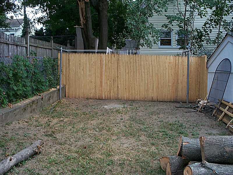 Back yard