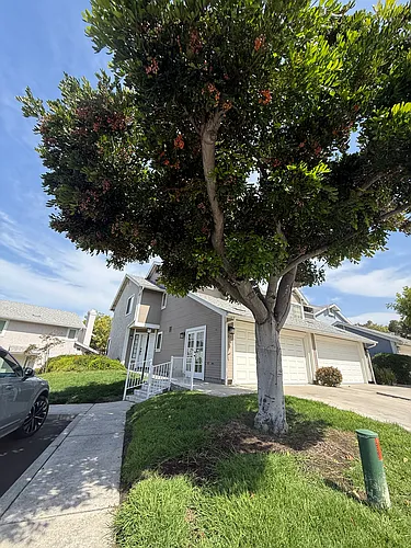 312 Windjammer Cir Photo 1
