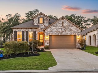 230 Sky Top Dr, Montgomery, TX 77316