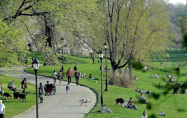 Rented by Leasing Management LLC | media 15