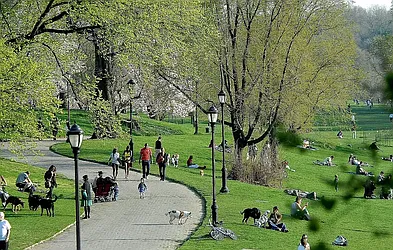 Rented by Leasing Management LLC