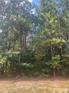 3545 Brookview Dr #X, Loganville, GA, 30052