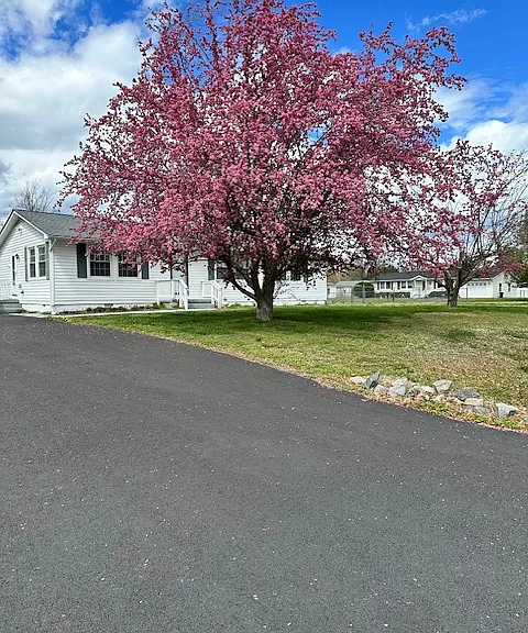 59 Mattox Bay Dr — Photo 7
