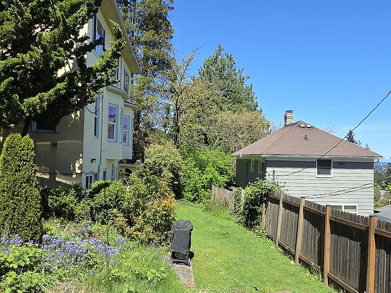 Backyard.