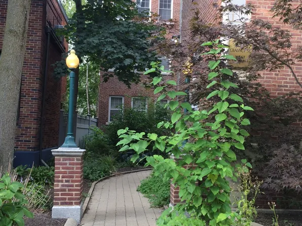 (undisclosed Address), Cambridge, MA 02138