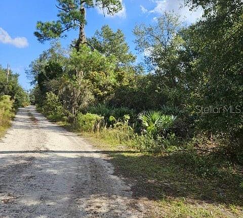 4th image of 4600 BEACON LIGHT ROAD LOT 186