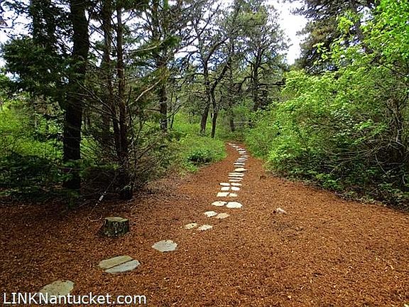 path to beach
