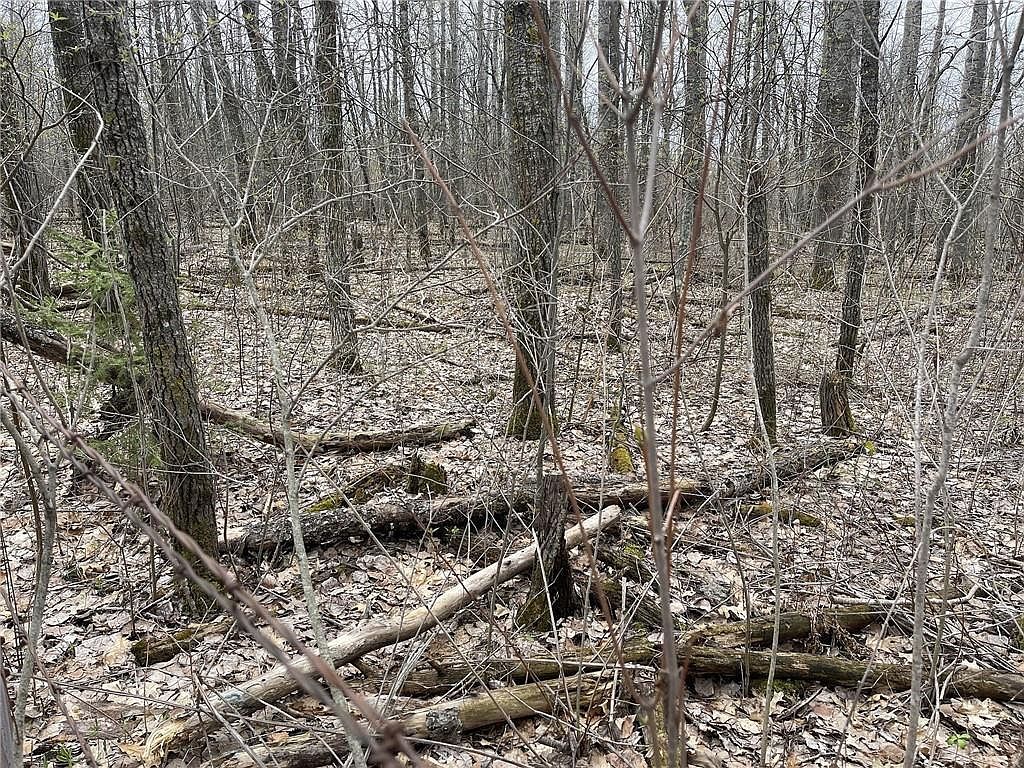 00 Nelson Road, Danbury, WI 54830 Zillow