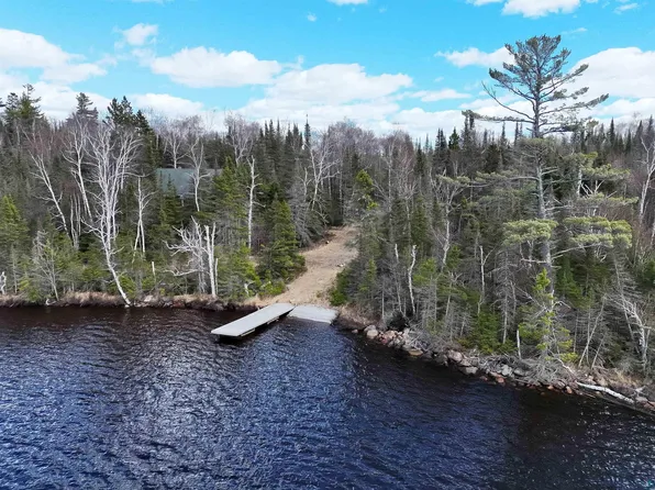 10097 Sister Lake Rd, Finland, MN 55603