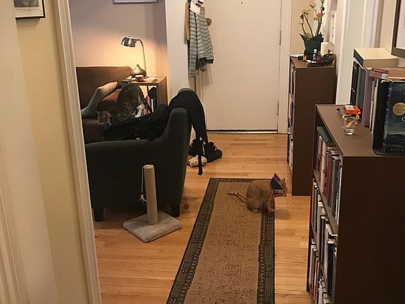 5th image of 5415 S Dorchester Ave APT 1B