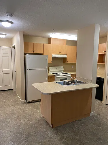 Floor plan 1 Bedroom 1 Bed 1 Bath
