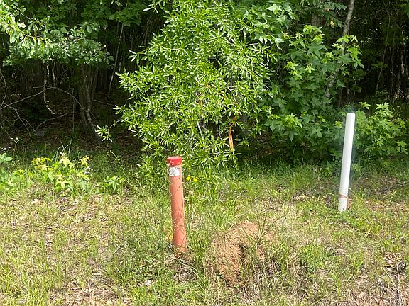 5th image of 1402 Tanyard Creek Drive