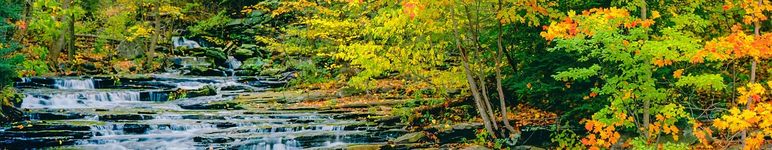 Autumn Chase — Photo 3