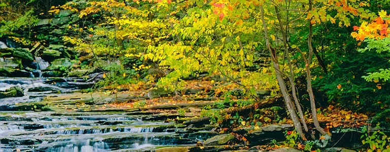 Autumn Chase — Photo 3
