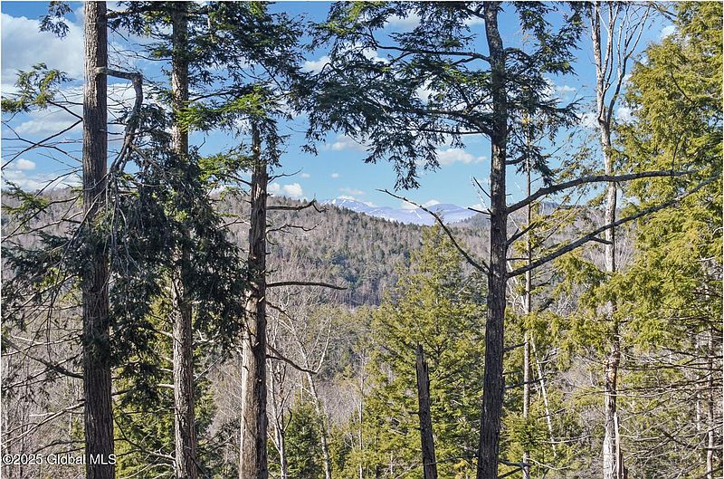 3rd image of L16 Mountain Meadows Road