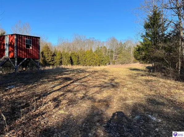 0 McCubbins Ln, Munfordville, KY 42765