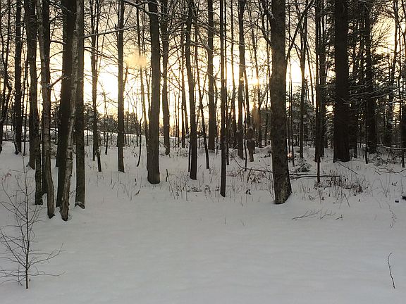 Front yard in winter